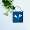 Bold - Mini Framed Cyanotype