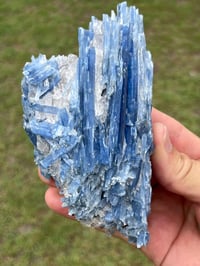 Image 6 of Blue Kyanite & Quartz Specimen #2615