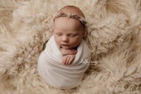 Image 5 of Stretch Tieback 4