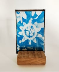 Image 1 of Cyanotype sur verre de Passion