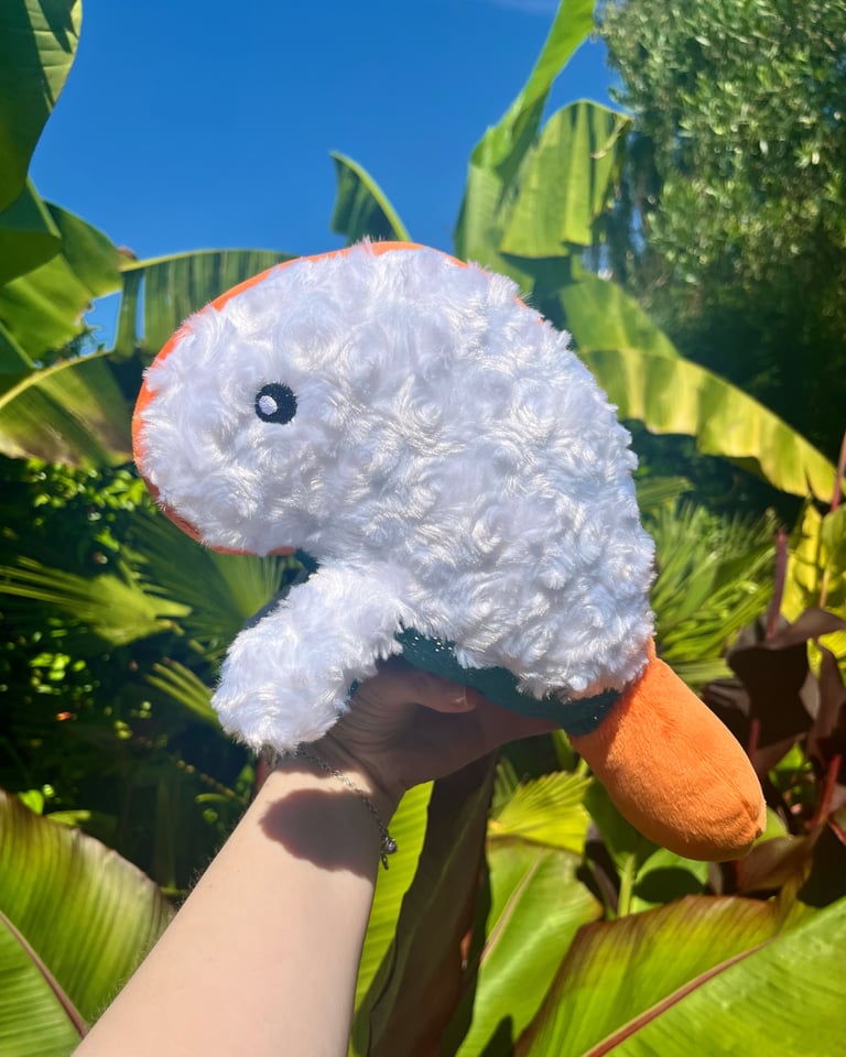 Nori (Regular) Image 2