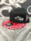 C10 Truck - Paisley Flat Bill Hat RED