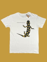 Image 1 of T-shirt TIGRINUM 