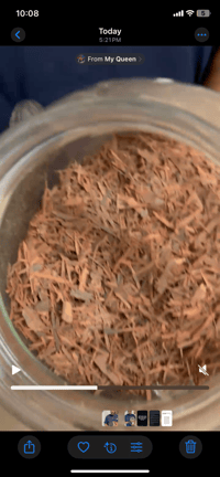 Image 2 of Pau d’arco