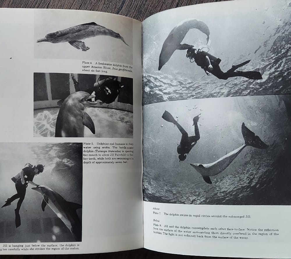 Communication Between Man and Dolphin, by John C. Lilly