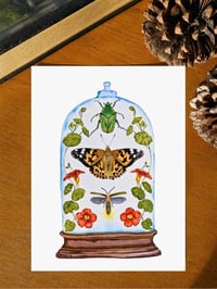 Image 5 of Insect Art Print June Dome, Under Glass Collection
