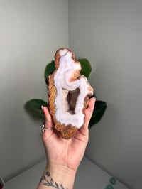 Image 1 of XL LIGHT PURPLE LAGUNA AGATE -MEXICO-