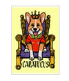 Merfin the Corgi 