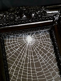 Image 3 of Gothic black framed preserved web 2