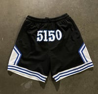 Image 4 of The 5150 🏀🩳In 5 Colors