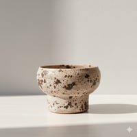 Speckled Succulent Pot