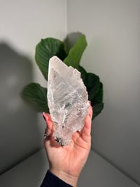 Image 1 of RAINBOW FILLED LA PLATOSA SELENITE -MEXICO- B