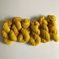 Image 4 of Bologna - Golden Brown