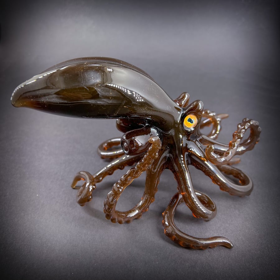 Image of Sparkled Brown Octopus