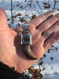 Image 4 of Bear Claw / Gold sheen Obsidian Pendant 