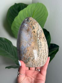 Image 5 of SEA JASPER FREEFORM -MADAGASCAR- F