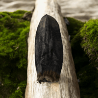 Dehydrated Beaver Tail 
