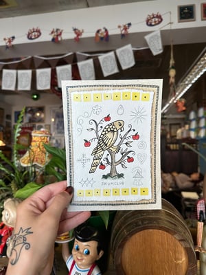Image of birdy