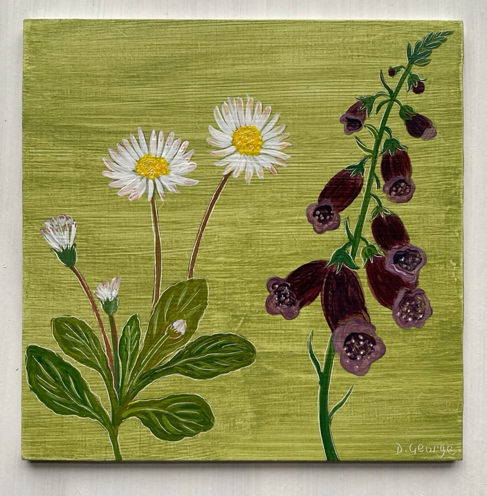 Image of special order Daisies and Foxglove 