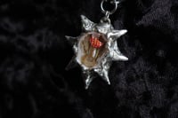 Image 5 of dead good snail mushroom and bee wing spiky necklace