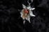 dead good snail mushroom and bee wing spiky necklace Image 5
