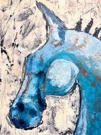 Image 7 of Shelter & Carry- Shanny Brooke