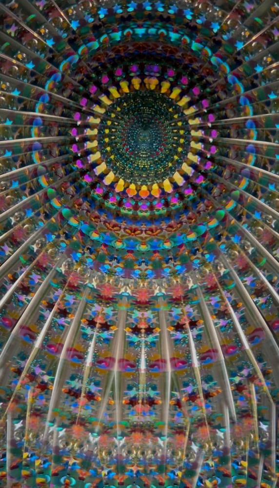 Image of Succulent Garden Mini AuraScope