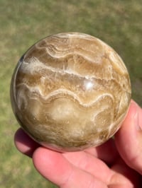 Image 4 of Amber Calcite Sphere | #2972