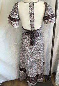 Image 3 of Prairie dress 