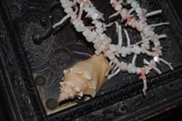 Image 2 of Coral & Shell Necklace