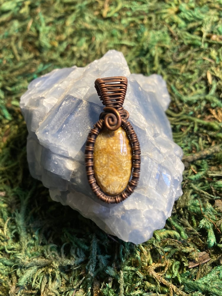 Image of Fossilized Coral Wire Wrapped Pendant 