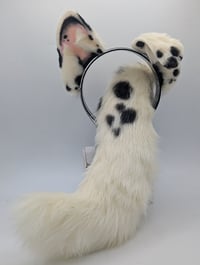 Dalmatian set