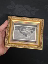 Image 2 of 1800's Biblical Page “Angel”  & Preserved Web