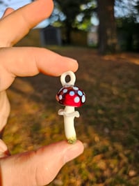 Image 2 of Amanita Muscaria #2