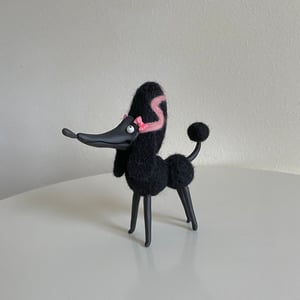 Image of Poodle in Black and Pink