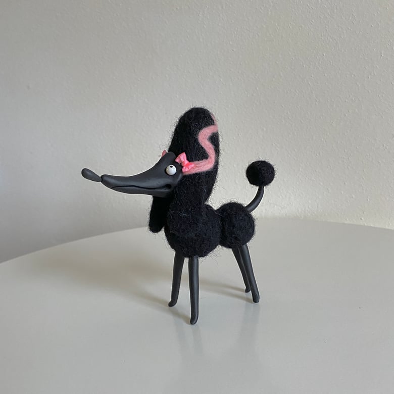 Image of Poodle in Black and Pink