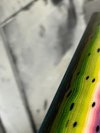 Image 5 of Thin Rainbow Trout V2 by Mikie