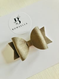 Dove grey velvet 