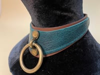 Image 1 of Brown and teal locking posture collar
