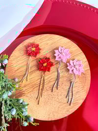 Image 1 of Poinsettias