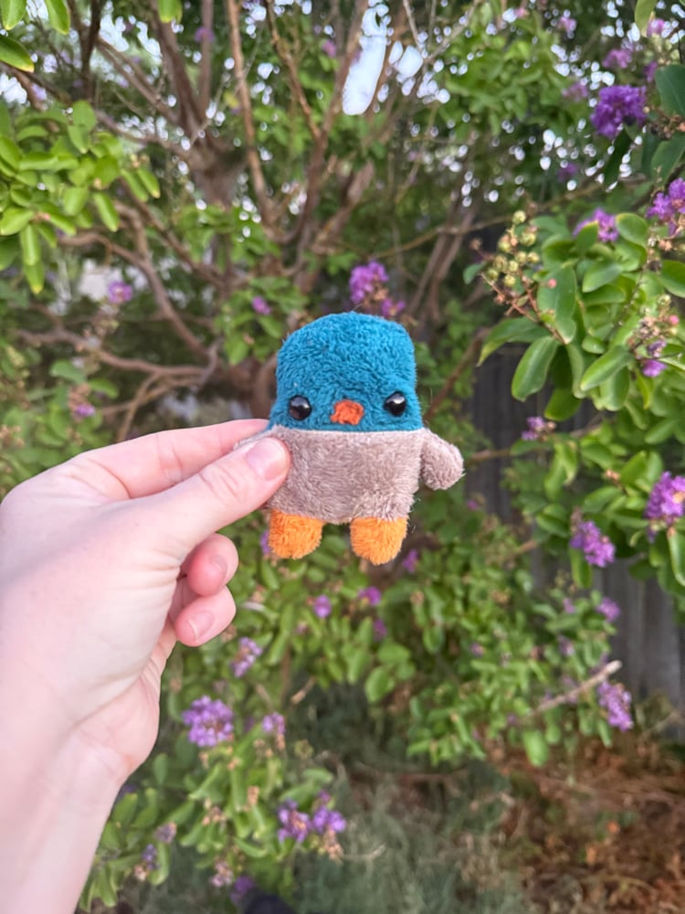 Image of Teal duckie