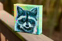 Image 3 of Trash Panda (Shelfie)