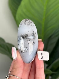 Image 3 of DENDRITIC OPAL SHIVAS