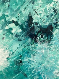 Image 5 of Mycorrhizal Archipelago 