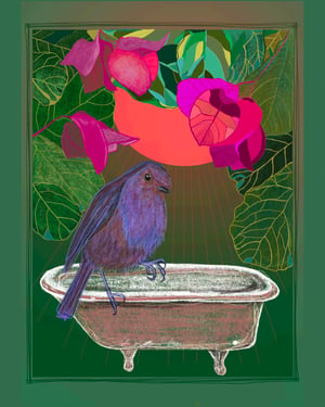 Image of JUNE DREAMS + Folcadán Éan + Bird Bath