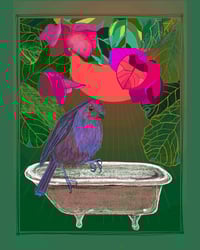 Image 1 of JUNE DREAMS + Folcadán Éan + Bird Bath