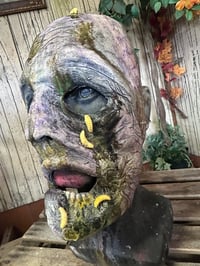 Image 2 of Swamp Rot