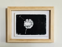 Image 2 of Dandelion clock woodcut prints 