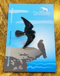 Eleonora’s Falcon (Dark phase) - Hellenic Ornithological Society