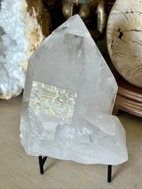 Image 1 of Clear Quartz Points Cluster #1187